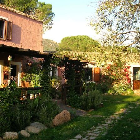La Fattoria Delle Tartarughe Villa San Gregorio  Eksteriør bilde