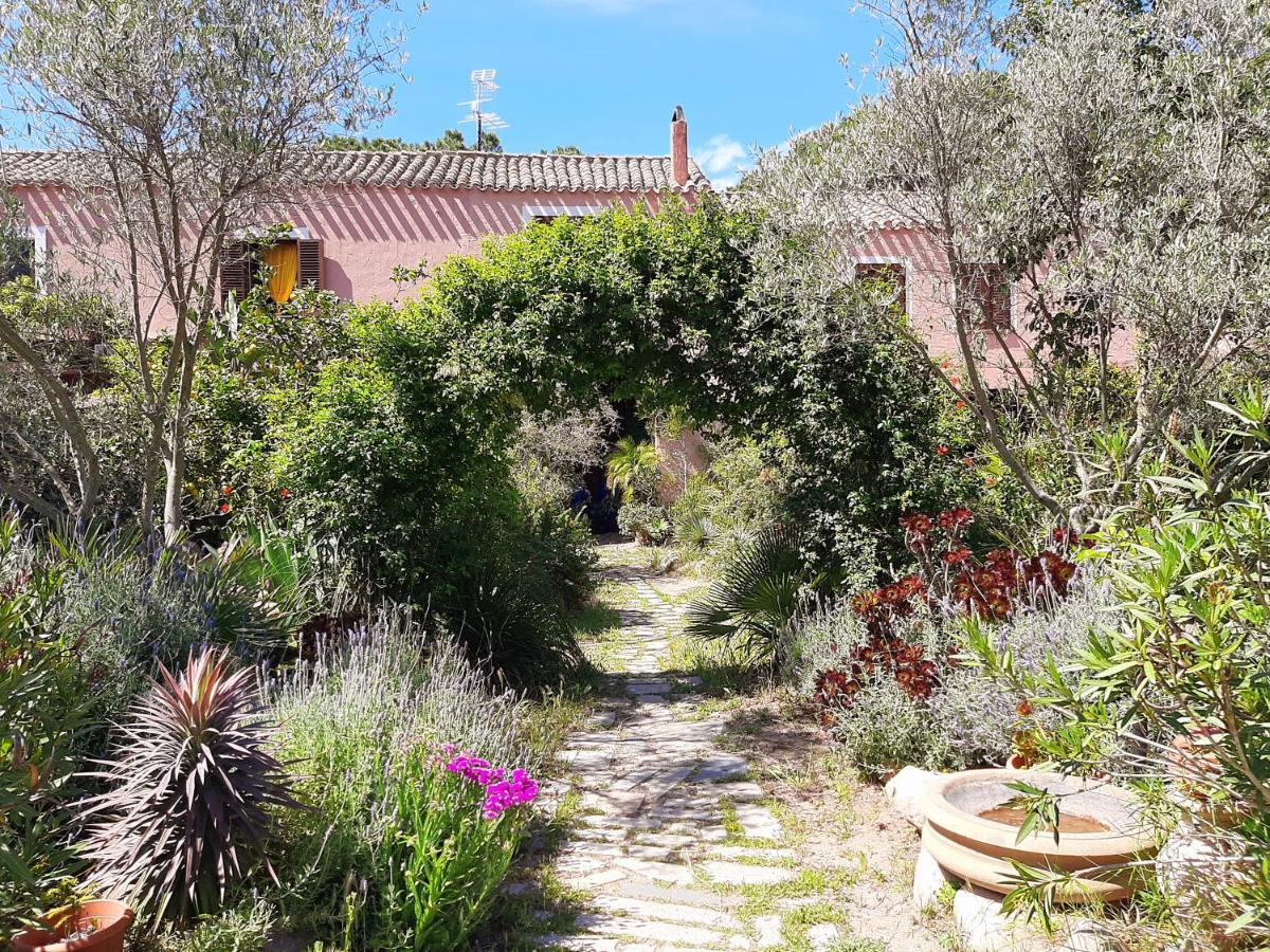 La Fattoria Delle Tartarughe Villa San Gregorio  Eksteriør bilde