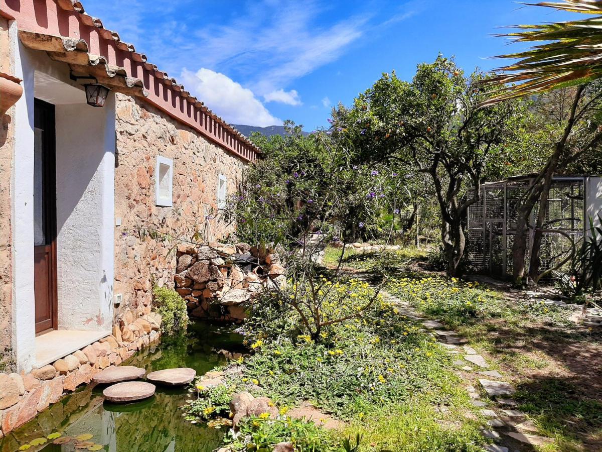 La Fattoria Delle Tartarughe Villa San Gregorio  Eksteriør bilde