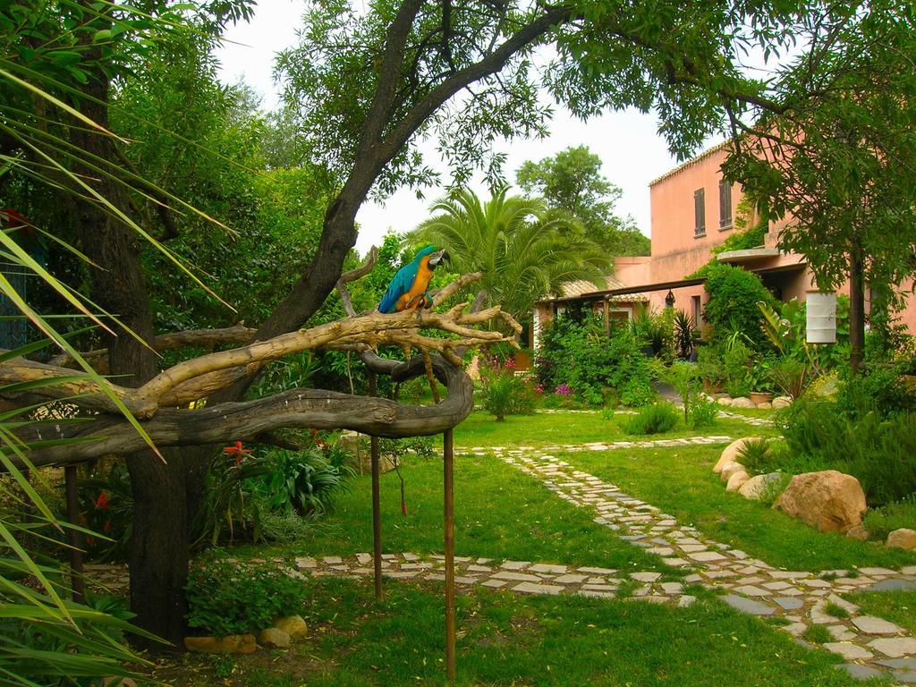 La Fattoria Delle Tartarughe Villa San Gregorio  Eksteriør bilde