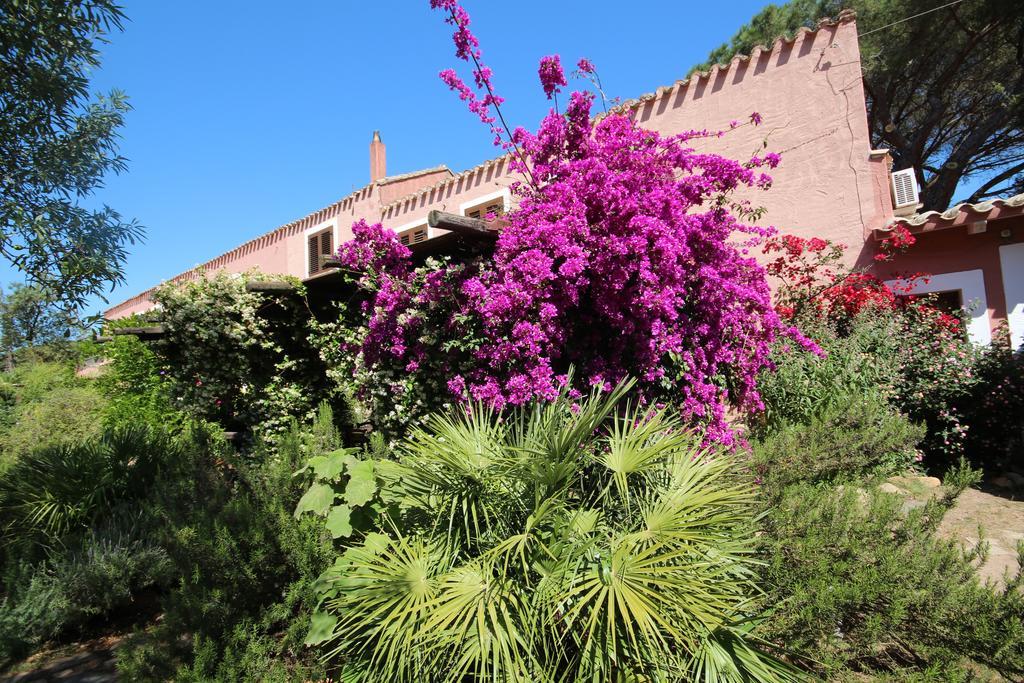 La Fattoria Delle Tartarughe Villa San Gregorio  Eksteriør bilde