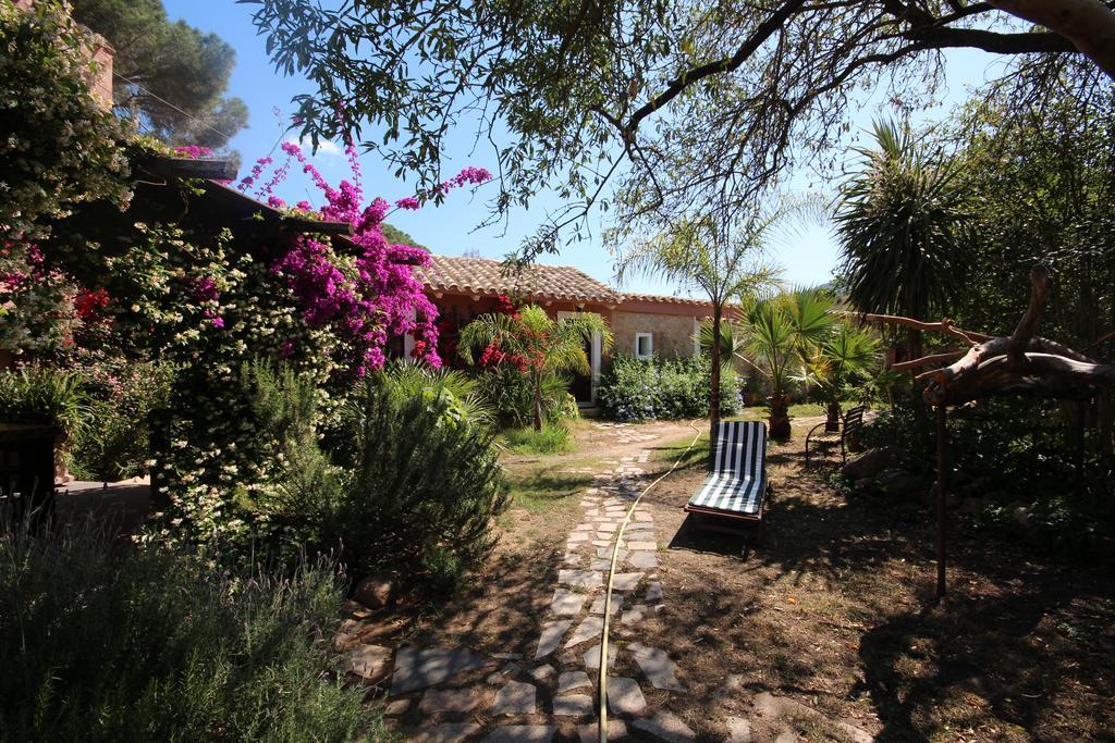 La Fattoria Delle Tartarughe Villa San Gregorio  Eksteriør bilde