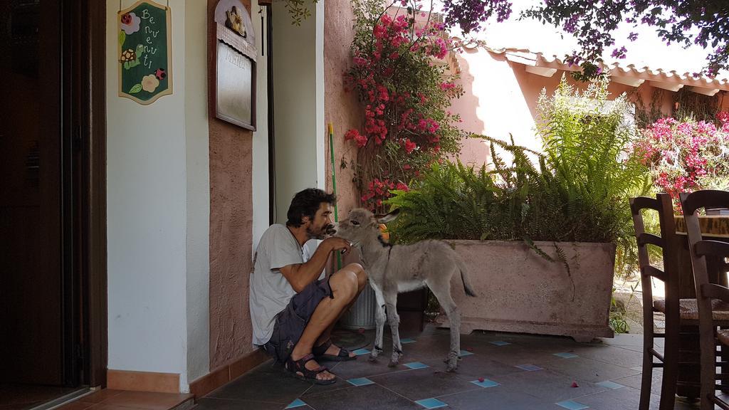 La Fattoria Delle Tartarughe Villa San Gregorio  Eksteriør bilde