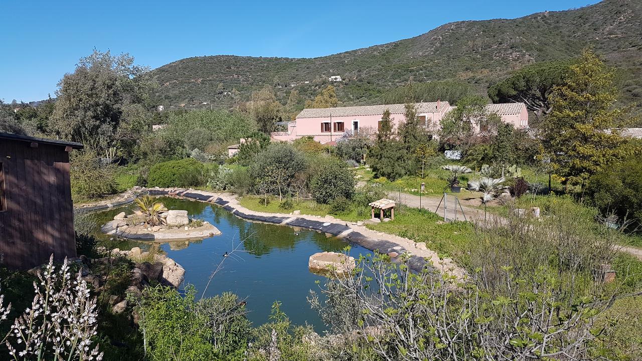 La Fattoria Delle Tartarughe Villa San Gregorio  Eksteriør bilde